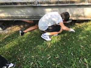 Atividade de “Plogging” no Parque João Paulo II