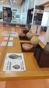 Exposição de Arqueologia