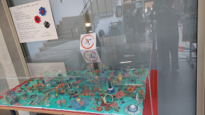 Comemorações dos 50 anos – Intervenções artísticas