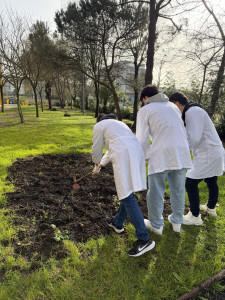 “A Hortinha da Régio”